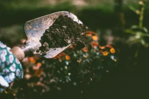 Garden trowel pouring dirt
